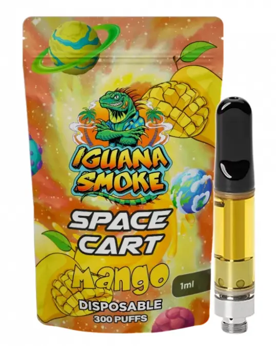 Vaper STV - Space Vape Mango 2ml