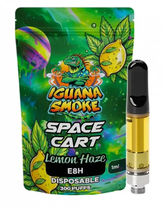 Cartucho desechable E8H 90% – Mango 1 ml