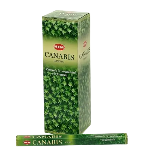 Cannabis