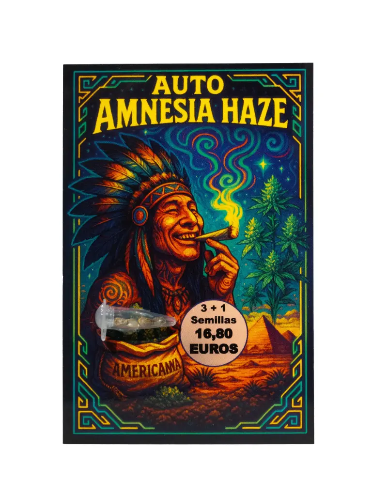 Semilla  Auto Amnesia Haze 3+1