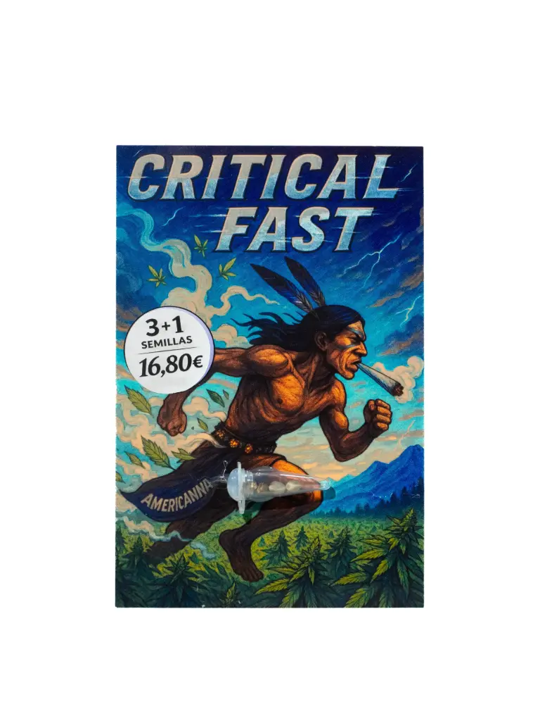 Semilla  Critical Fast 3+1