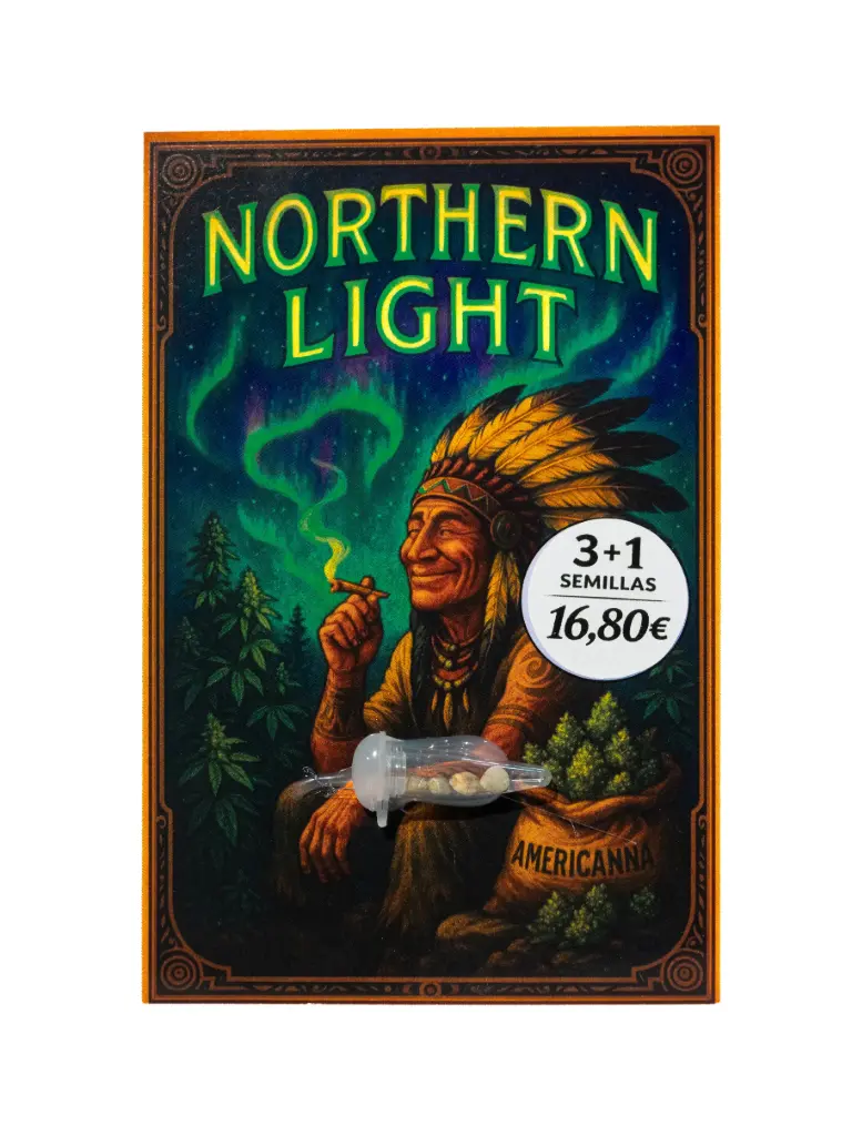 Semilla  Northen Light 3+1