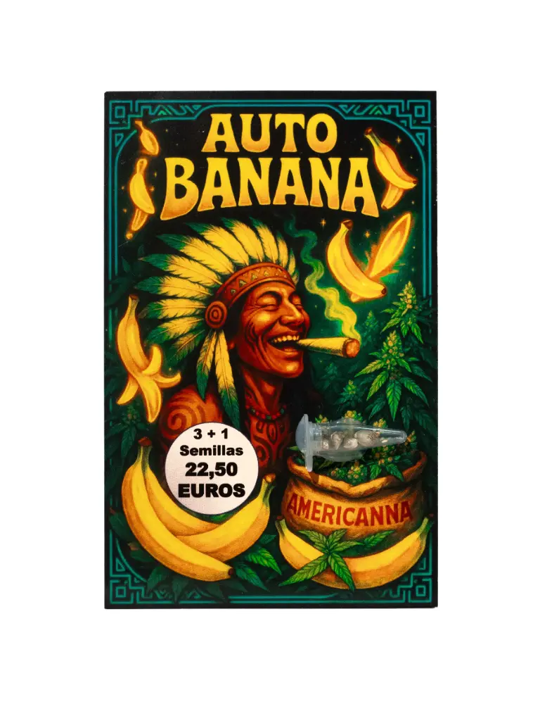 Semilla  Auto Banana 3+1