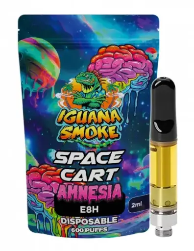 [8436616092474] Cartucho desechable E8H 90% – Amnesia 2 ml
