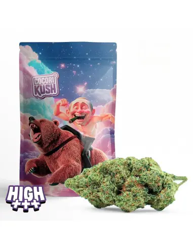 [3760408051666] Poutine Haze Hec-10 2.5G