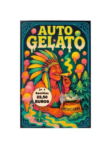 [3108202600237] Semilla  Auto Gelato 3+1