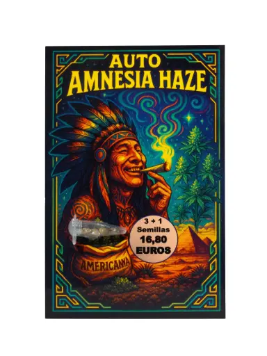 [3108202600213] Semilla  Auto Amnesia Haze 3+1