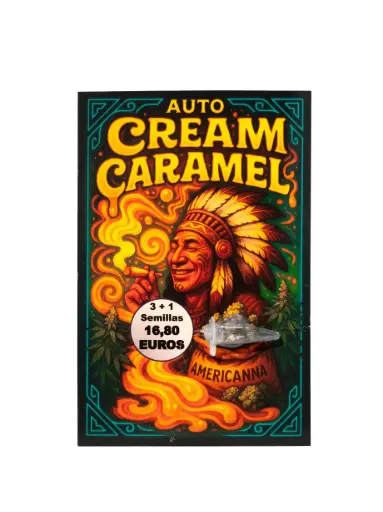 [3108202600183] Semilla  Auto Cream Caramel 3+1