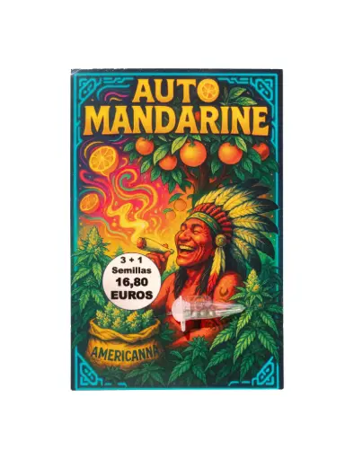 [3108202600244] Semilla  Auto Mandarine