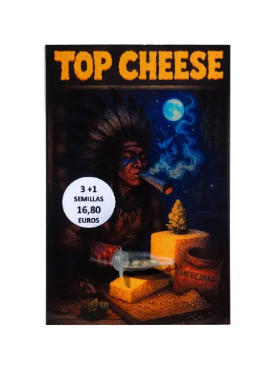 [3108202600299] Semilla  Top Cheese 3+1